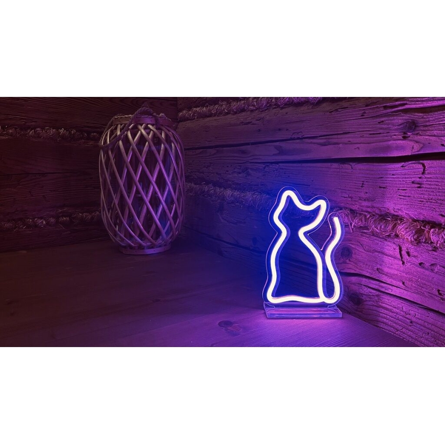 2Kids Toys - Decoración de mesa LED de Neón LED/5W/USB gato