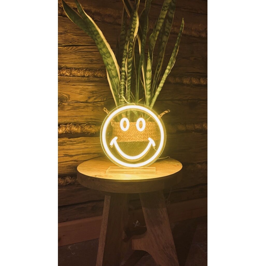 2Kids Toys - Decoración de mesa LED de Neón LED/5W/USB sonrisa