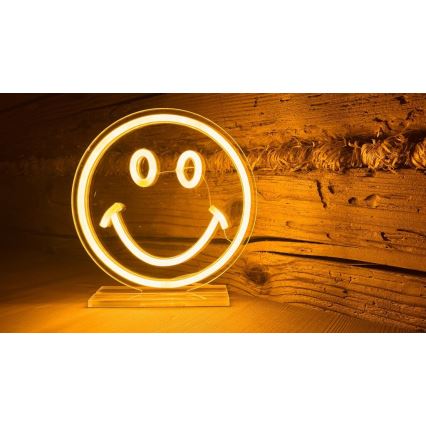 2Kids Toys - Decoración de mesa LED de Neón LED/5W/USB sonrisa