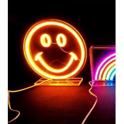 2Kids Toys - Decoración de mesa LED de Neón LED/5W/USB sonrisa