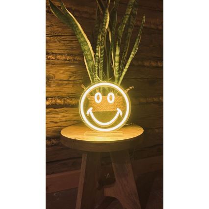 2Kids Toys - Decoración de sobremesa LED efecto neón LED/5W/USB carita sonriente
