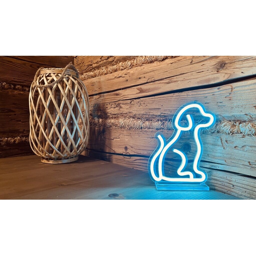 2Kids Toys - Lámpara decorativa de neón LED de mesa LED/5W/USB perro