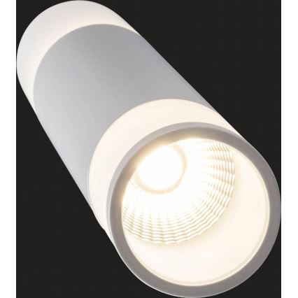 AEG - Lámpara de araña LED regulable ABBY LED/10W/230V
