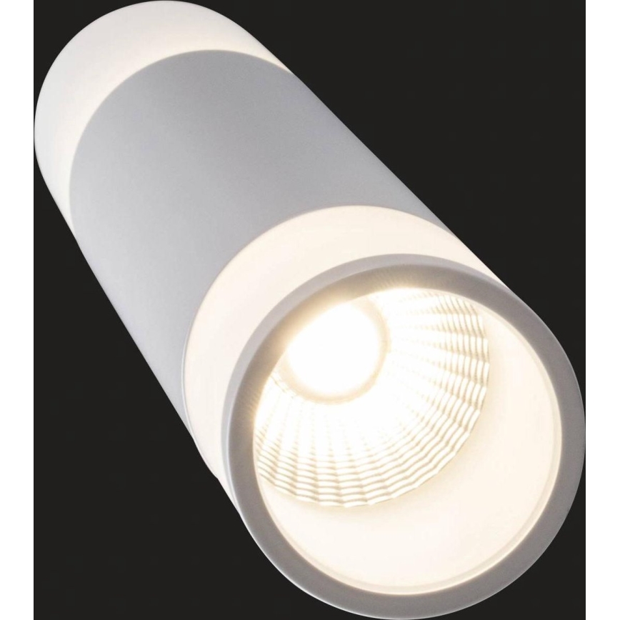 AEG - Lámpara de araña LED regulable ABBY LED/10W/230V