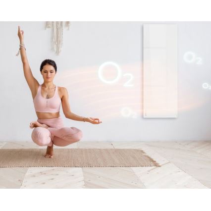 AENO - Panel infrarrojo eléctrico inteligente 700W con temporizador/termostato, IP44, Wi‑Fi, blanco