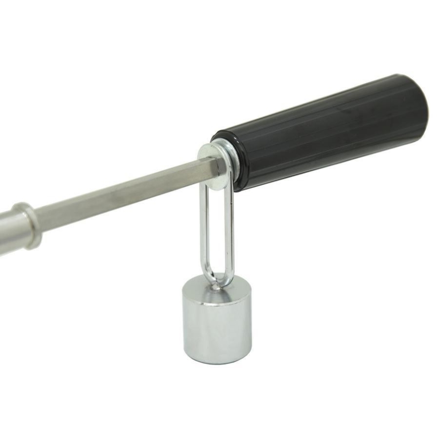 Aguja de barbacoa con motor 230V