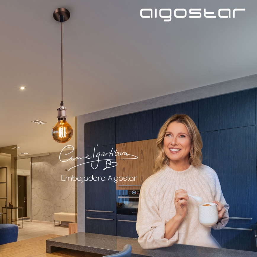 Aigostar - Cable de alimentación 1xE27/60W/230V cobre