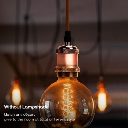 Aigostar - Cable de alimentación 1xE27/60W/230V cobre