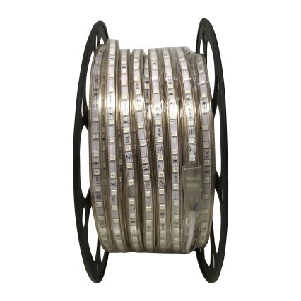Aigostar - Cinta LED 50m LED/300W/230V IP65 verde