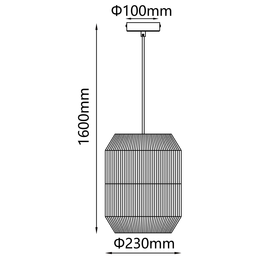 Aigostar - Lámpara colgante 1xE27/60W/230V negro