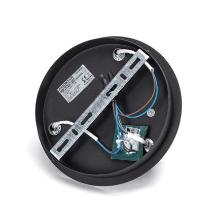 Aigostar - Lámpara de focos 3xGU10/60W/230V negra