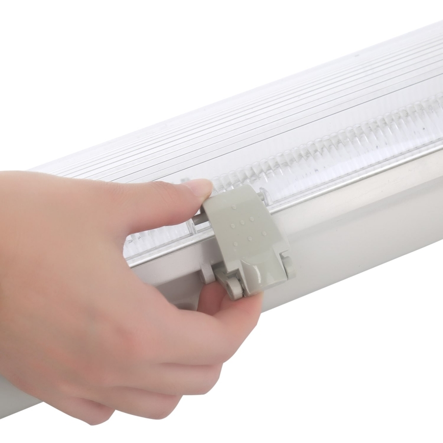 Aigostar - Lámpara fluorescente técnica T8 2xG13/20W/230V IP65