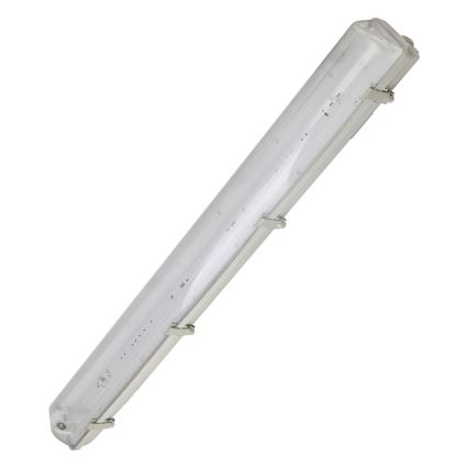 Aigostar - Lámpara fluorescente técnica T8 2xG13/20W/230V IP65