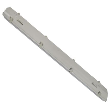 Aigostar - Lámpara fluorescente técnica T8 2xG13/20W/230V IP65