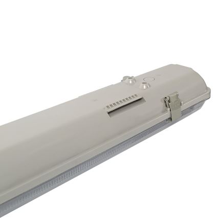 Aigostar - Lámpara fluorescente técnica T8 2xG13/20W/230V IP65