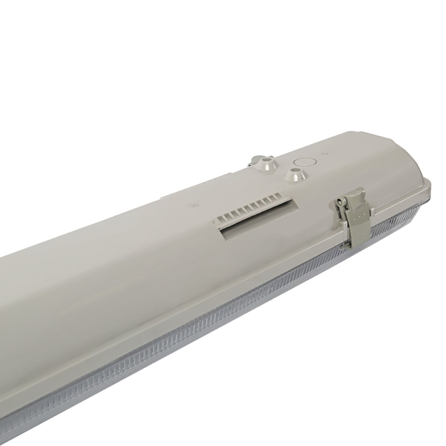 Aigostar - Lámpara fluorescente técnica T8 2xG13/20W/230V IP65