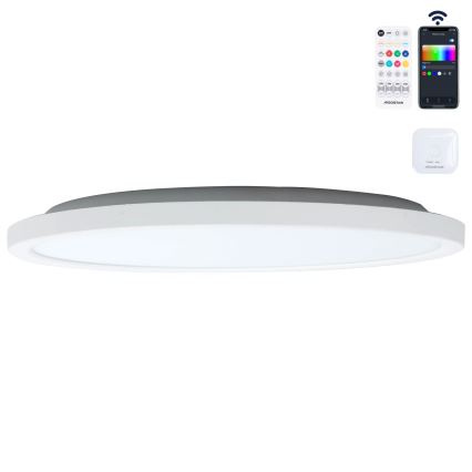 Aigostar - Lámpara de techo LED RGBW regulable MESH LED/24W/230V 3000-6500K blanca + mando a distancia