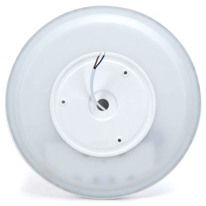 Aigostar - Lámpara de techo LED RGBW regulable MESH LED/24W/230V 3000-6500K blanca + mando a distancia