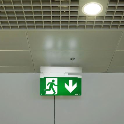 Aigostar - Luz de emergencia LED EMERGENCY EXIT LED/3,6W/230V 6500K 500mAh
