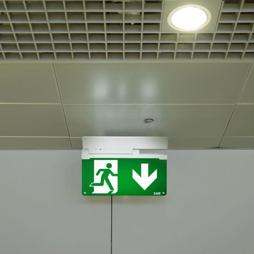 Aigostar - Luz de emergencia LED EMERGENCY EXIT LED/3,6W/230V 6500K 500mAh