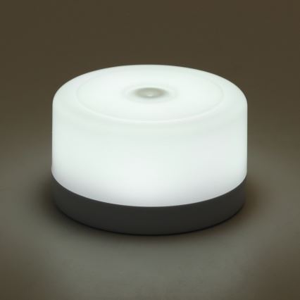 Aigostar - Luz nocturna LED portátil regulable LED/1W/5V 6500K+ USB