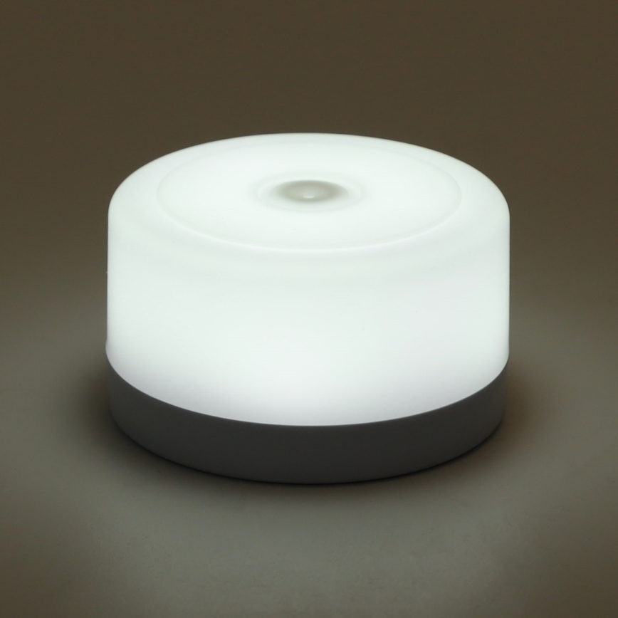 Aigostar - Luz nocturna LED portátil regulable LED/1W/5V 6500K+ USB