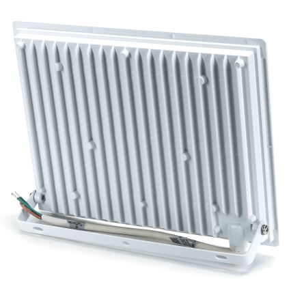 Aigostar - Proyector LED 100W/230V 4000K IP65