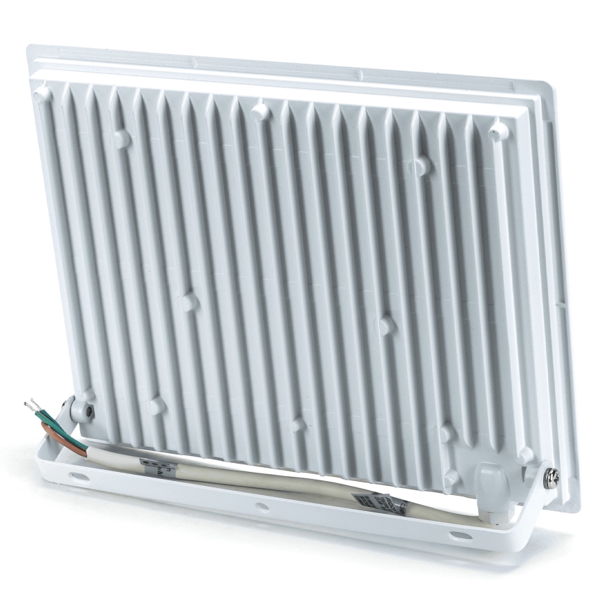 Aigostar - Proyector LED 100W/230V 4000K IP65