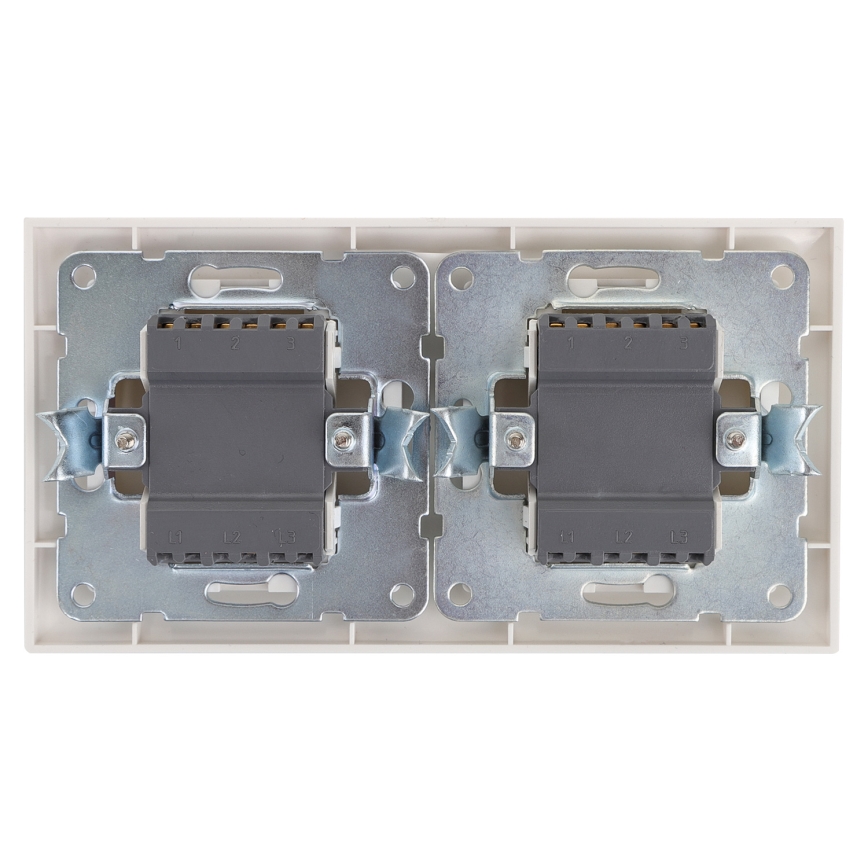 Aigostar - SET 2x Interruptor 2 botones 250V/10A