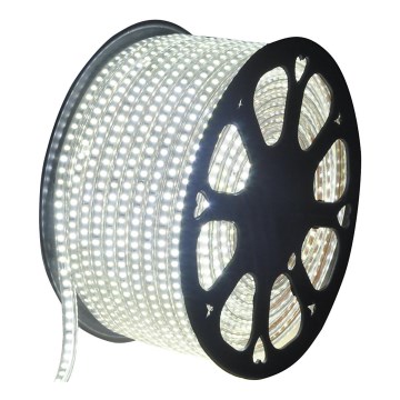 Aigostar - Tira LED exterior 50m LED/350W/230V 6500K IP65