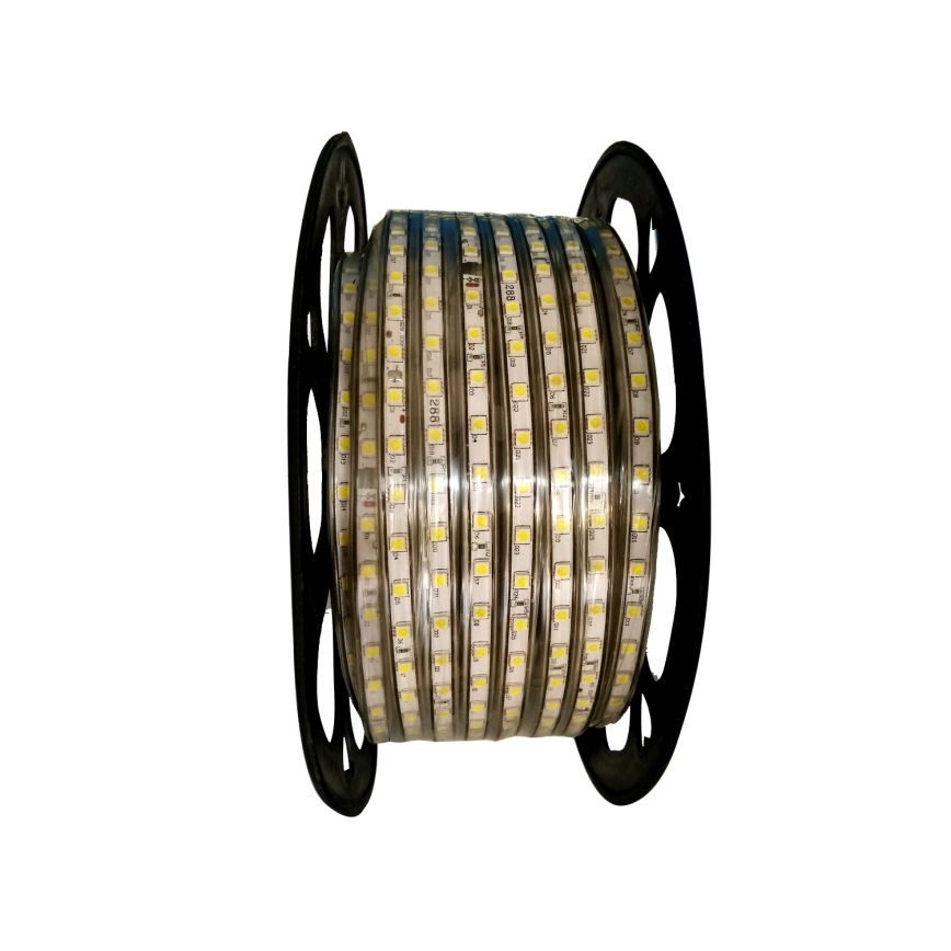Aigostar - Tira LED exterior 50m LED/350W/230V 6500K IP65