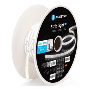 Aigostar - Tira LED LED/250W/230V 50m 6500K IP65