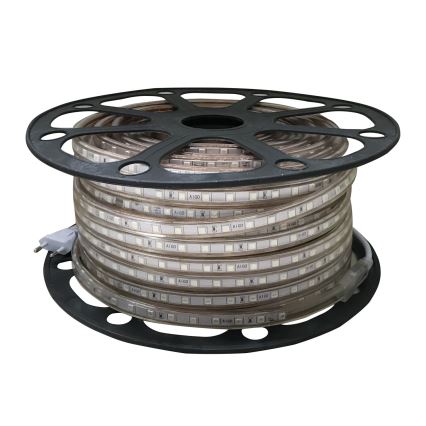 Aigostar - Tira LED para exterior 50m LED/300W/230V azul IP65