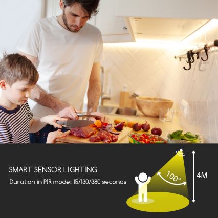Aigostar - Tira LED regulable con sensor 1m LED/2W/4xAAA 3000K IP65