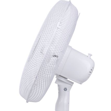 Aigostar - Ventilador de pie 40W/230V 120 cm blanco