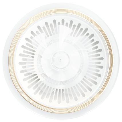 Aigostar - Ventilador de techo LED regulable LED/40W/230V 2700/4000/6500K diá. 50 cm + control remoto blanco