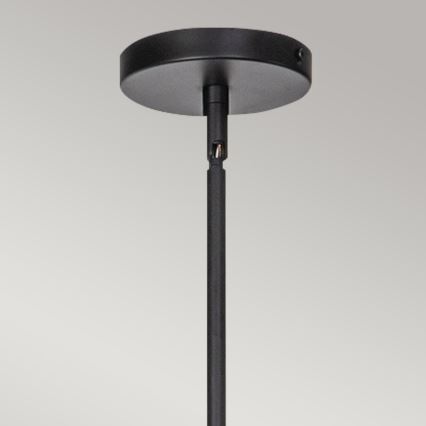 Alora Mood - Lámpara de techo con varilla DAPHNE 6xE14/40W/230V negro/marrón
