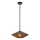 Alora Mood - Lámpara de araña de poste DAPHNE 1xE27/60W/230V Ø 38,1 cm negro