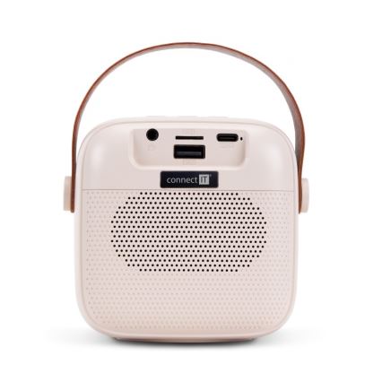 CONNECT IT CSP-1010-BG - Altavoz LED RGB con 2 micrófonos inalámbricos 5W/1200 mAh + 2x 400 mAh crema/dorado