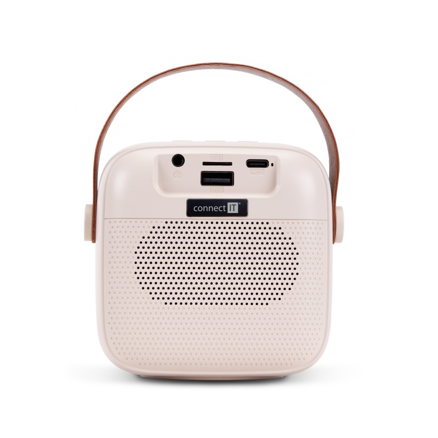 CONNECT IT CSP-1010-BG - Altavoz LED RGB con 2 micrófonos inalámbricos 5W/1200 mAh + 2x 400 mAh crema/dorado