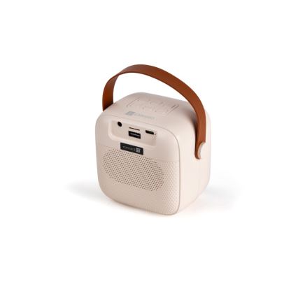 CONNECT IT CSP-1010-BG - Altavoz LED RGB con 2 micrófonos inalámbricos 5W/1200 mAh + 2x 400 mAh crema/dorado