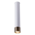 Amplex - Foco 1xGU10/10W/230V blanco/dorado