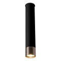 Amplex - Foco orientable 1xGU10/10W/230V negro/dorado