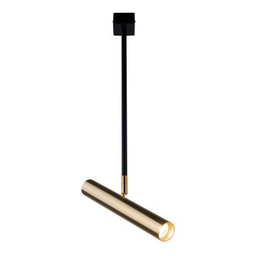 Amplex - Lámpara colgante 1xGU10-MR11/15W/230V negro/latón