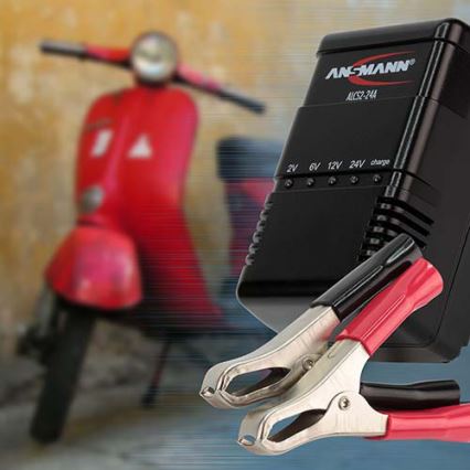 Ansmann 03723 ALCS 2-24A - Cargador de baterías de plomo 2-24V/2,4-24Ah