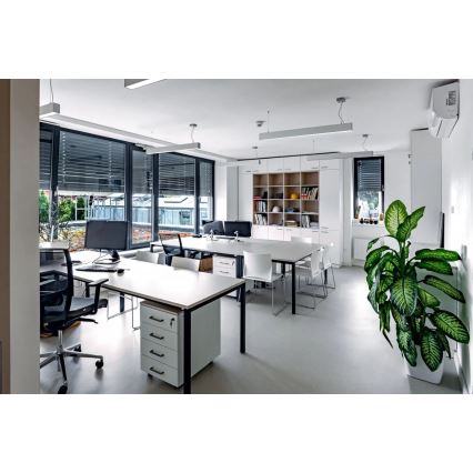 APLED - Lámpara de araña LED sobre un cable LOOK LED/23W/230V 4000K 60 cm plata