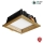 APLED - Lámpara empotrable LED SQUARE WOODLINE LED/6W/230V 3000K 12x12 cm roble madera maciza