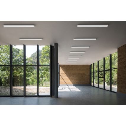 APLED - Lámpara LED de superficie TROUT LED/36W/230V 4000K