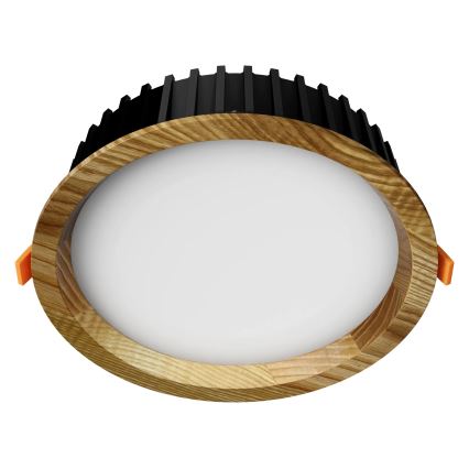 APLED - Lámpara empotrable LED RONDO WOODLINE LED/12W/230V 3000K diá. 20 cm ceniza madera maciza