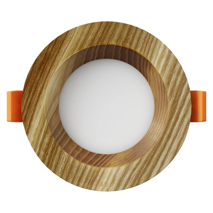 APLED - Lámpara empotrable LED RONDO WOODLINE LED/3W/230V 4000K diá. 9 cm ceniza madera maciza